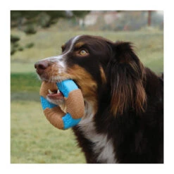 KONG CoreStrength Bamboo Ring - Large -Vetn Pet Direct Store kong bamboo ring with dog