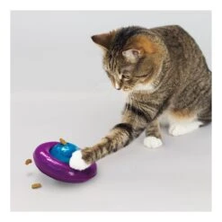 KONG Infused Cat Gyro 5 KONG Infused Cat Gyro -Vetn Pet Direct Store kong cat gyro 2