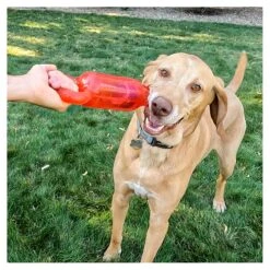 KONG Jumbler Tug 9 KONG Jumbler Tug -Vetn Pet Direct Store kong jumbler 3