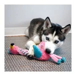 KONG Knots Twists -Vetn Pet Direct Store kong knots twists dog