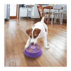 KONG Licks Spinz 11 KONG Licks Spinz -Vetn Pet Direct Store kong licks spinz small 5