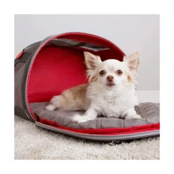 KONG Travel 2-in-1 Pet Carrier & Travel Mat -Vetn Pet Direct Store kong pet carrier 3