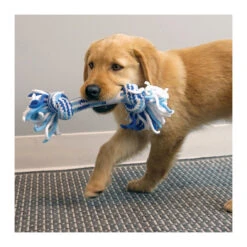 KONG Puppy Rope Stick 7 KONG Puppy Rope Stick -Vetn Pet Direct Store kong puppy rope stick with dog