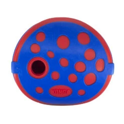 KONG Rewards Wally -Vetn Pet Direct Store kong rewards wally