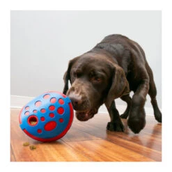 KONG Rewards Wally -Vetn Pet Direct Store kong rewards wally with dog