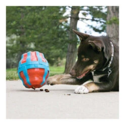 KONG Spinner 5 KONG Spinner -Vetn Pet Direct Store kong spinner 02