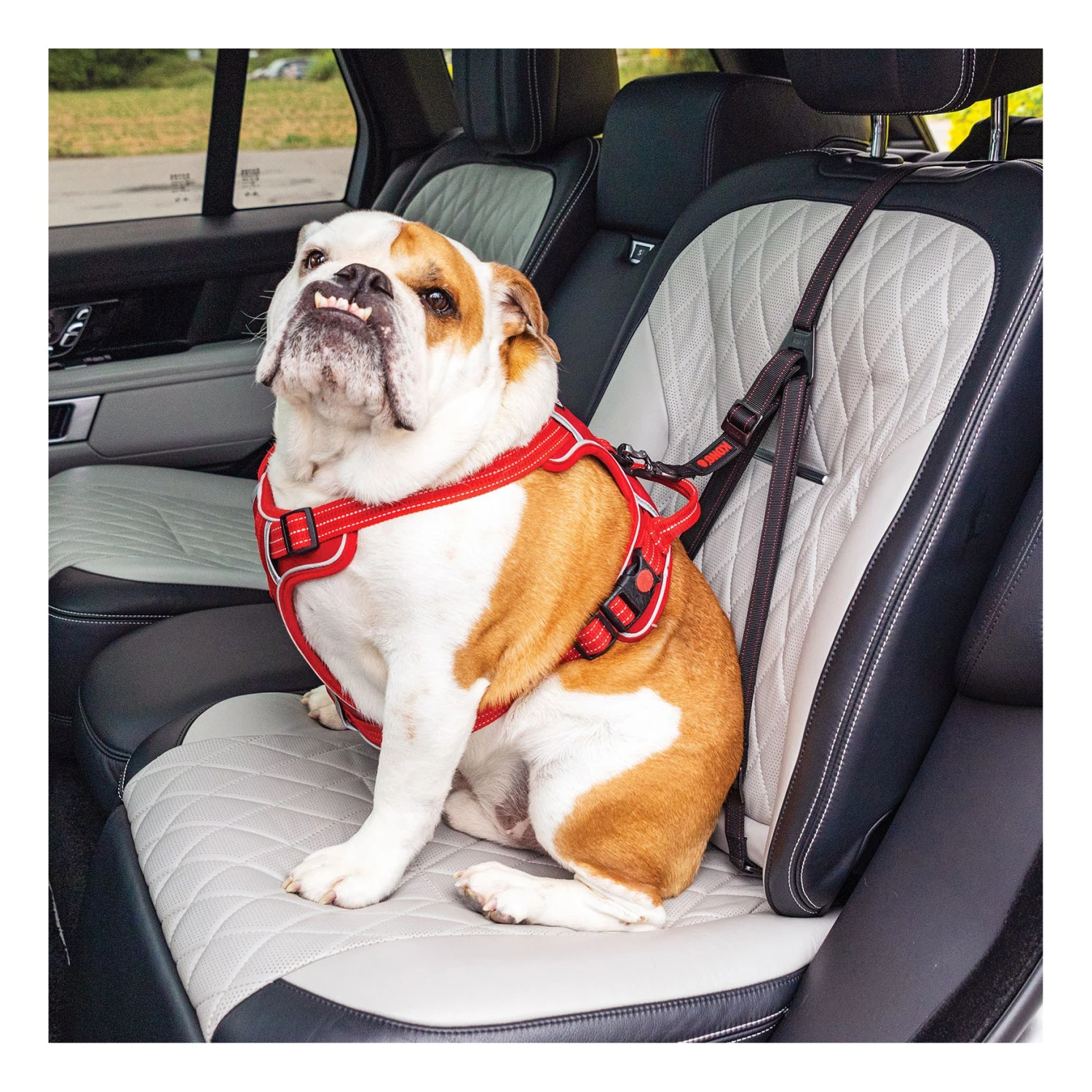 KONG Travel Ultimate Safety Tether 4 KONG Travel Ultimate Safety Tether - Image 4