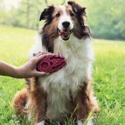 KONG ZoomGroom For Dogs -Vetn Pet Direct Store kong zoomgroom dog red life