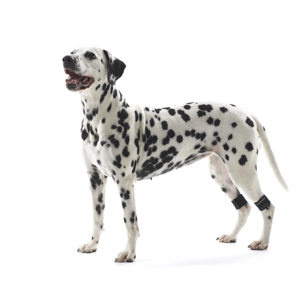 Kruuse Rehab Weighted Cuffs For Dogs - 1 Pair 2 Kruuse Rehab Weighted Cuffs For Dogs - 1 Pair - Image 2