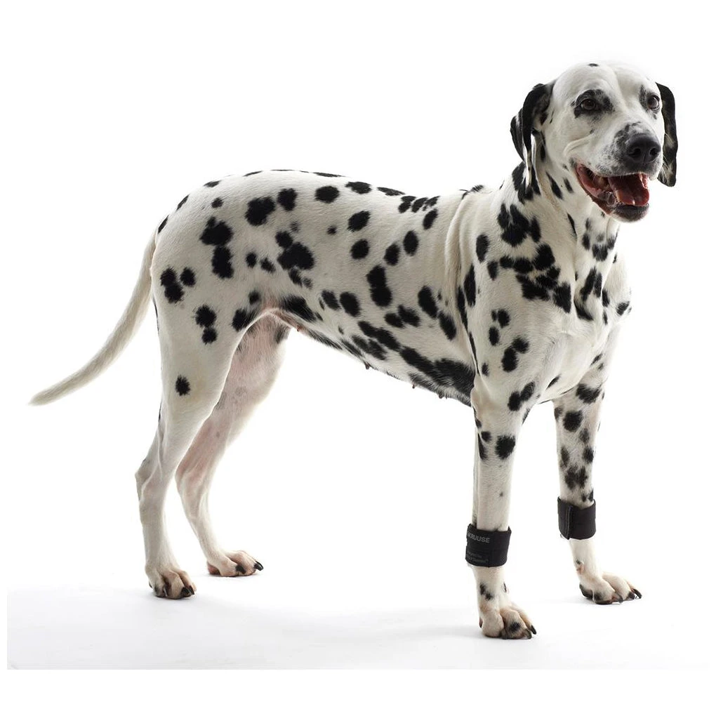 Kruuse Rehab Weighted Cuffs For Dogs - 1 Pair 1 Kruuse Rehab Weighted Cuffs For Dogs - 1 Pair