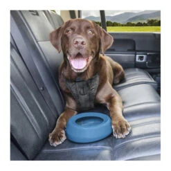 Kurgo Splash Free Wander Dog Water Bowl -Vetn Pet Direct Store kurgo splash free bowl with dog