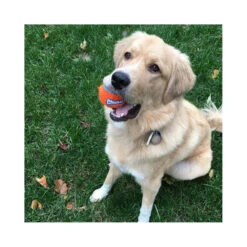 Chuckit! Tennis Ball Large 7 Chuckit! Tennis Ball Large -Vetn Pet Direct Store large tennis ball dog