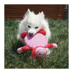 KONG Low Stuff Crackle Tummiez -Vetn Pet Direct Store low stuff tummiez with dog