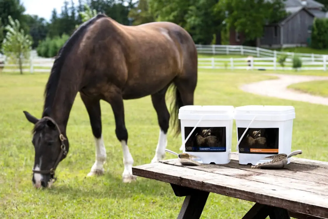 Vetn Pet Direct Store -Vetn Pet Direct Store mad barn nutrition supplements for horses