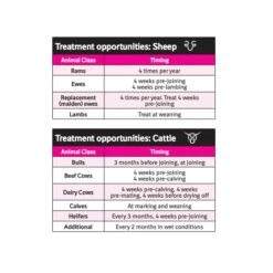 Boehringer Ingelheim Marks-Min Copper Free Injectable Trace Mineral With Vitamin B12 For Sheep & Cattle 1L 13 Boehringer Ingelheim Marks-Min Copper Free Injectable Trace Mineral With Vitamin B12 For Sheep & Cattle 1L -Vetn Pet Direct Store marks min copper free injectable treatment