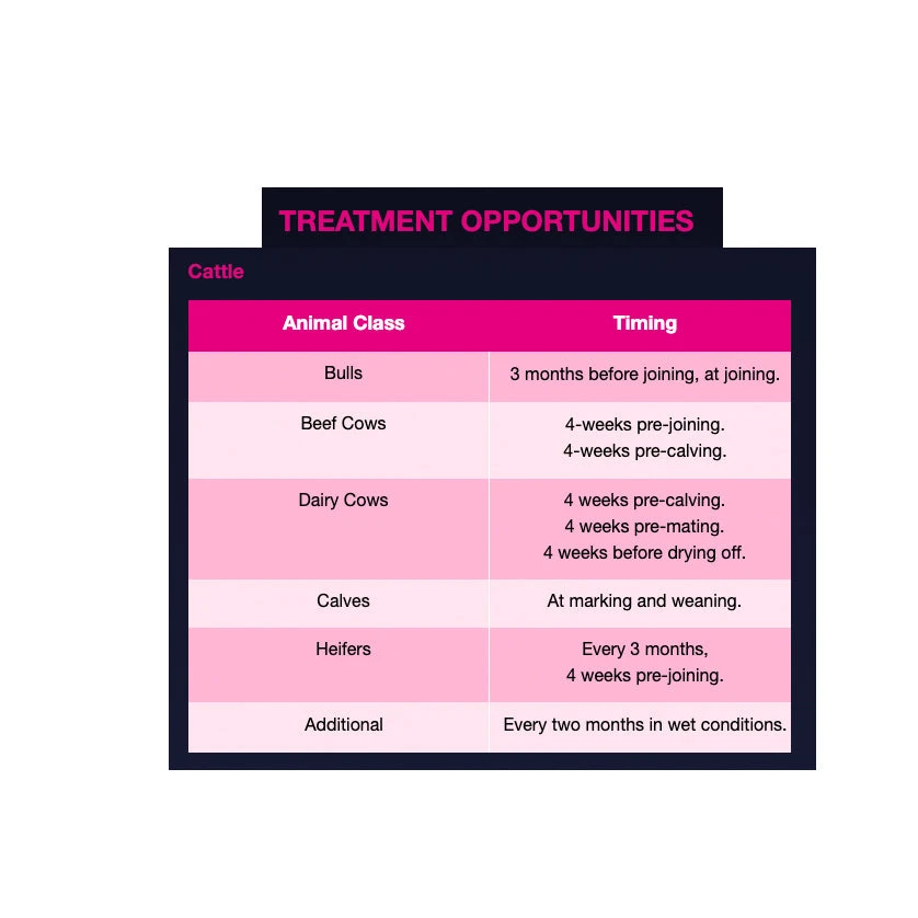 Boehringer Ingelheim Marks-Min Copper Free Injectable Trace Mineral With Vitamin B12 For Sheep & Cattle 1L 5 Boehringer Ingelheim Marks-Min Copper Free Injectable Trace Mineral With Vitamin B12 For Sheep & Cattle 1L - Image 5