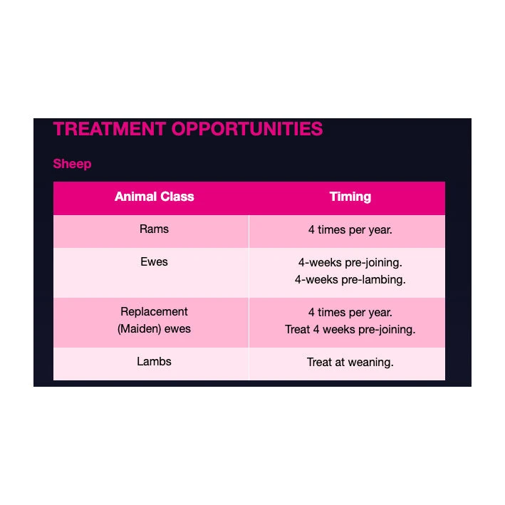 Boehringer Ingelheim Marks-Min Copper Free Injectable Trace Mineral With Vitamin B12 For Sheep & Cattle 1L 6 Boehringer Ingelheim Marks-Min Copper Free Injectable Trace Mineral With Vitamin B12 For Sheep & Cattle 1L - Image 6