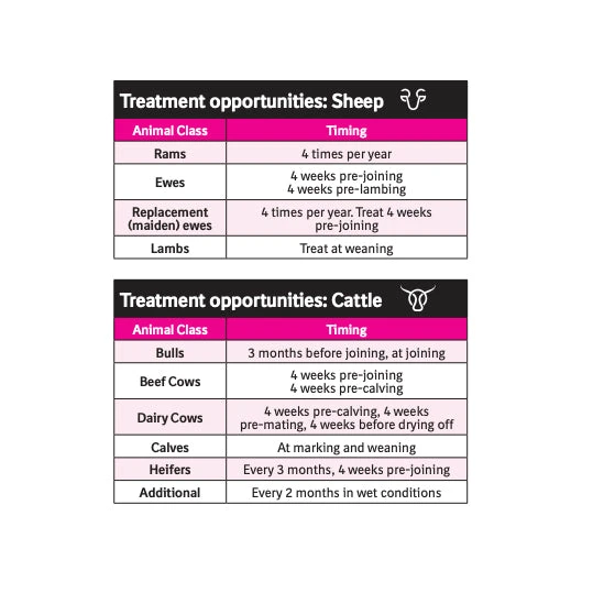 Boehringer Ingelheim Marks-Min Copper Free Injectable Trace Mineral With Vitamin B12 For Sheep & Cattle 1L 7 Boehringer Ingelheim Marks-Min Copper Free Injectable Trace Mineral With Vitamin B12 For Sheep & Cattle 1L - Image 7