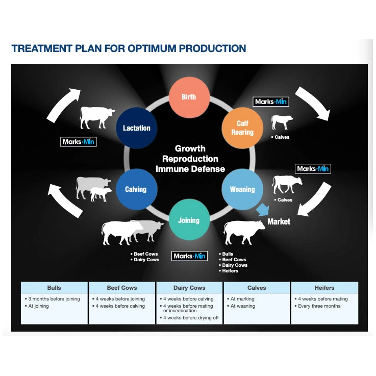Boehringer Ingelheim Marks-Min Injectable Trace Mineral With Vitamin B12 For Cattle 2 Boehringer Ingelheim Marks-Min Injectable Trace Mineral With Vitamin B12 For Cattle - Image 2
