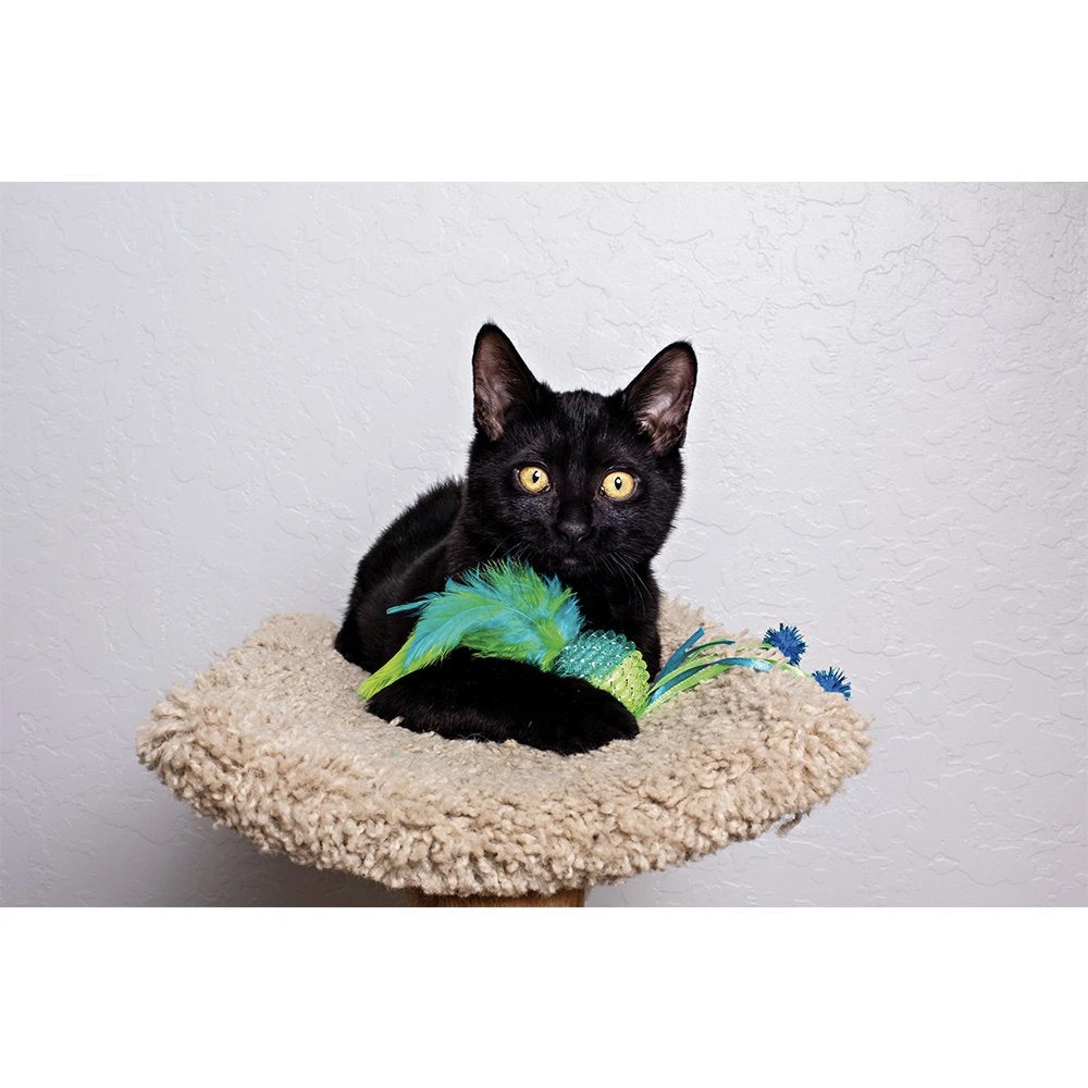 Mesh Ball Cat Toy 6 Mesh Ball Cat Toy - Image 6