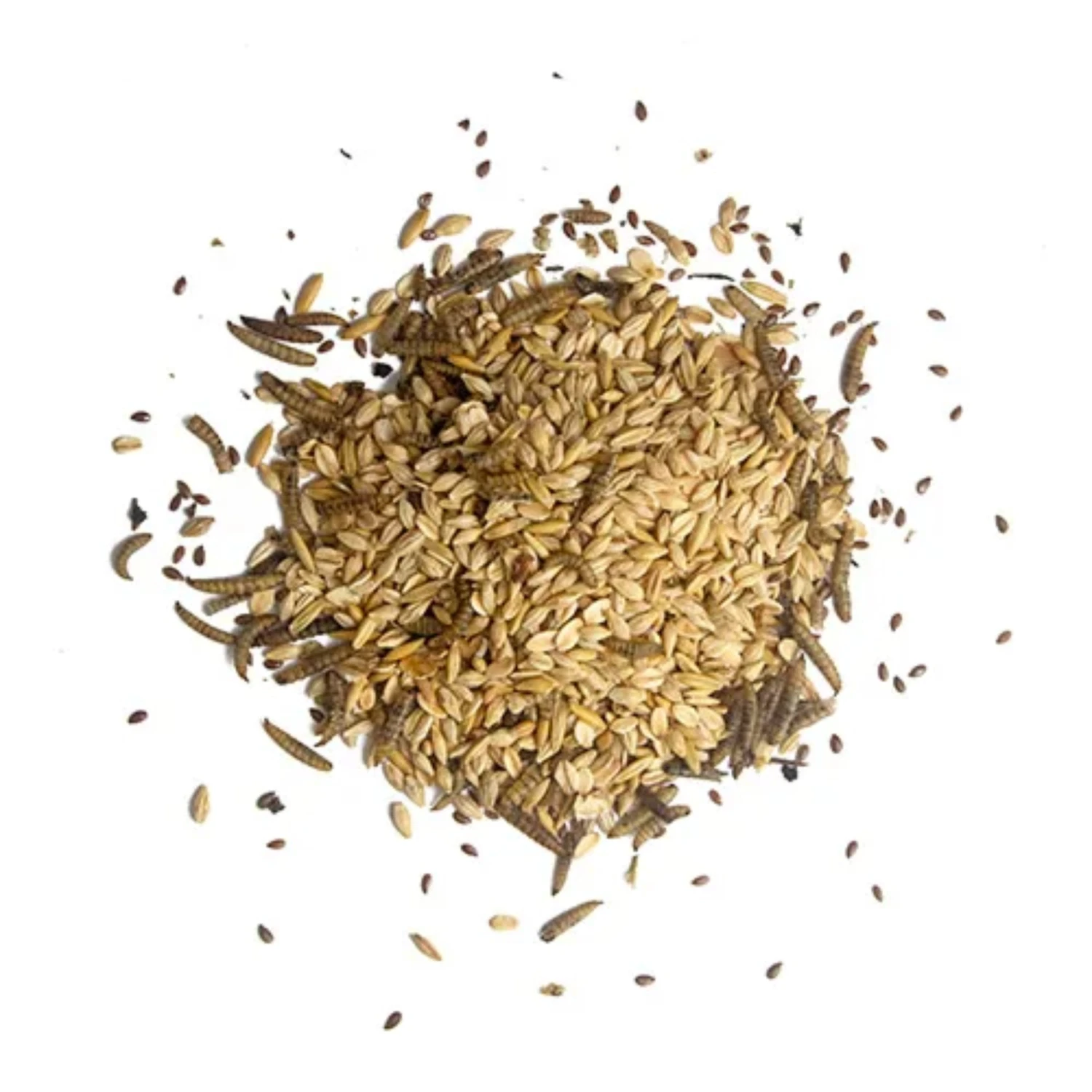 Morning Mix - Black Soldier Fly Larvae, Cranberries & Flax Seeds 680g 3 Morning Mix - Black Soldier Fly Larvae, Cranberries & Flax Seeds 680g - Image 3