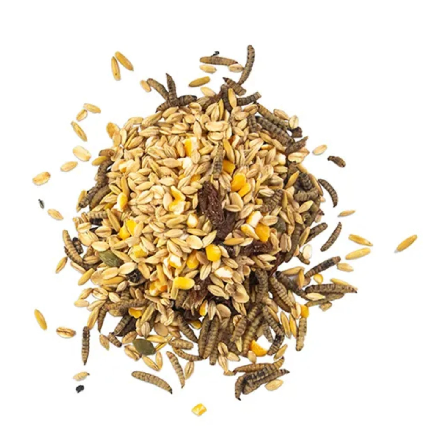 Morning Mix - Black Soldier Fly Larvae, Raisin & Pumpkin Seeds 680g 3 Morning Mix - Black Soldier Fly Larvae, Raisin & Pumpkin Seeds 680g - Image 3