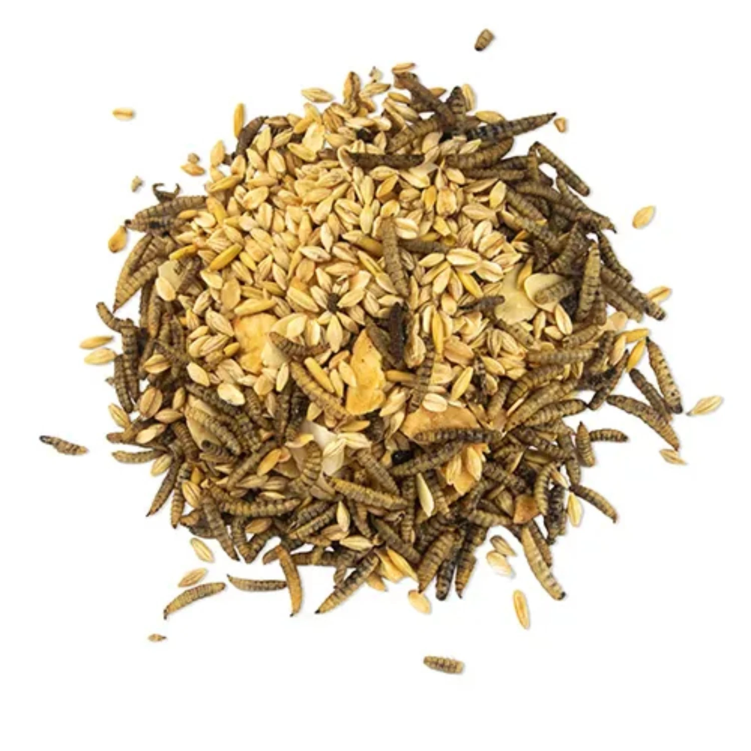 Morning Mix - Black Soldier Fly Larvae, Banana & Almonds 3 Morning Mix - Black Soldier Fly Larvae, Banana & Almonds - Image 3