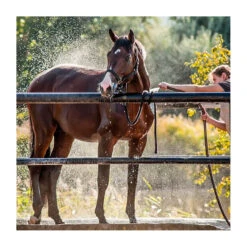 Hemp Collective Natural Pet Shampoo Bar 120g -Vetn Pet Direct Store natural pet shampoo bar horse