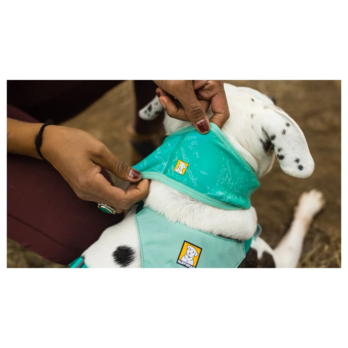 Ruffwear Swamp Cooler Neck Gaiter 5 Ruffwear Swamp Cooler Neck Gaiter - Image 5