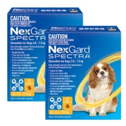 NexGard Spectra Chews For Small Dogs 3.6-7.5kg - 12 Pack Value Bundle
