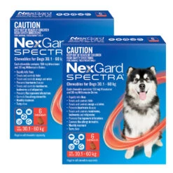 NexGard Spectra Chews For Very Large Dogs 30.1-60kg - 12 Pack Value Bundle