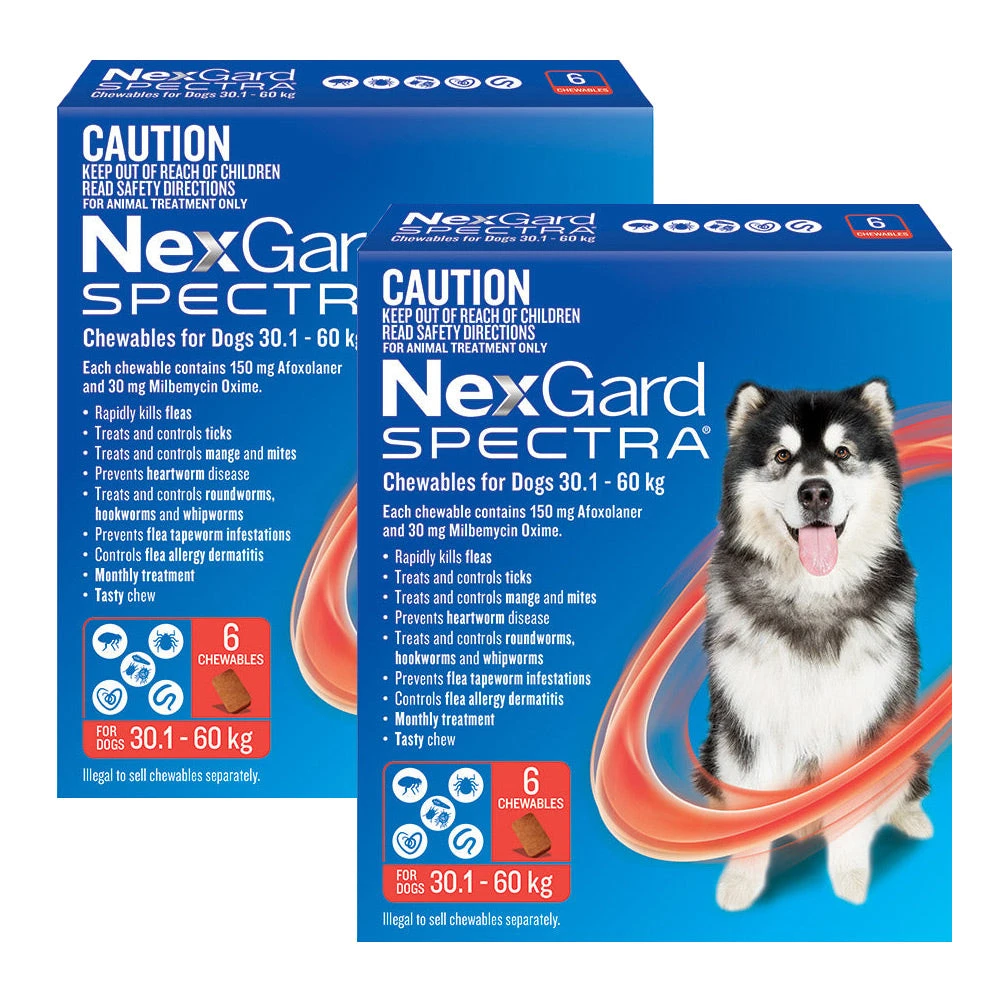 NexGard Spectra Chews For Very Large Dogs 30.1-60kg - 12 Pack Value Bundle 1 NexGard Spectra Chews For Very Large Dogs 30.1-60kg - 12 Pack Value Bundle