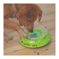 Nina Ottosson Wobble Bowl Food & Treat Dispensing Puzzle Dog Toy 7 Nina Ottosson Wobble Bowl Food & Treat Dispensing Puzzle Dog Toy -Vetn Pet Direct Store nina ottosson wobble bowl 3