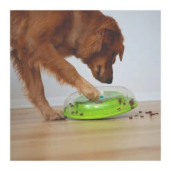 Nina Ottosson Wobble Bowl Food & Treat Dispensing Puzzle Dog Toy 8 Nina Ottosson Wobble Bowl Food & Treat Dispensing Puzzle Dog Toy -Vetn Pet Direct Store nina ottosson wobble bowl 4