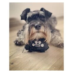 Oh Crap Dog Poop Bag Holder 5 Oh Crap Dog Poop Bag Holder -Vetn Pet Direct Store oh crap poop bag holder 3