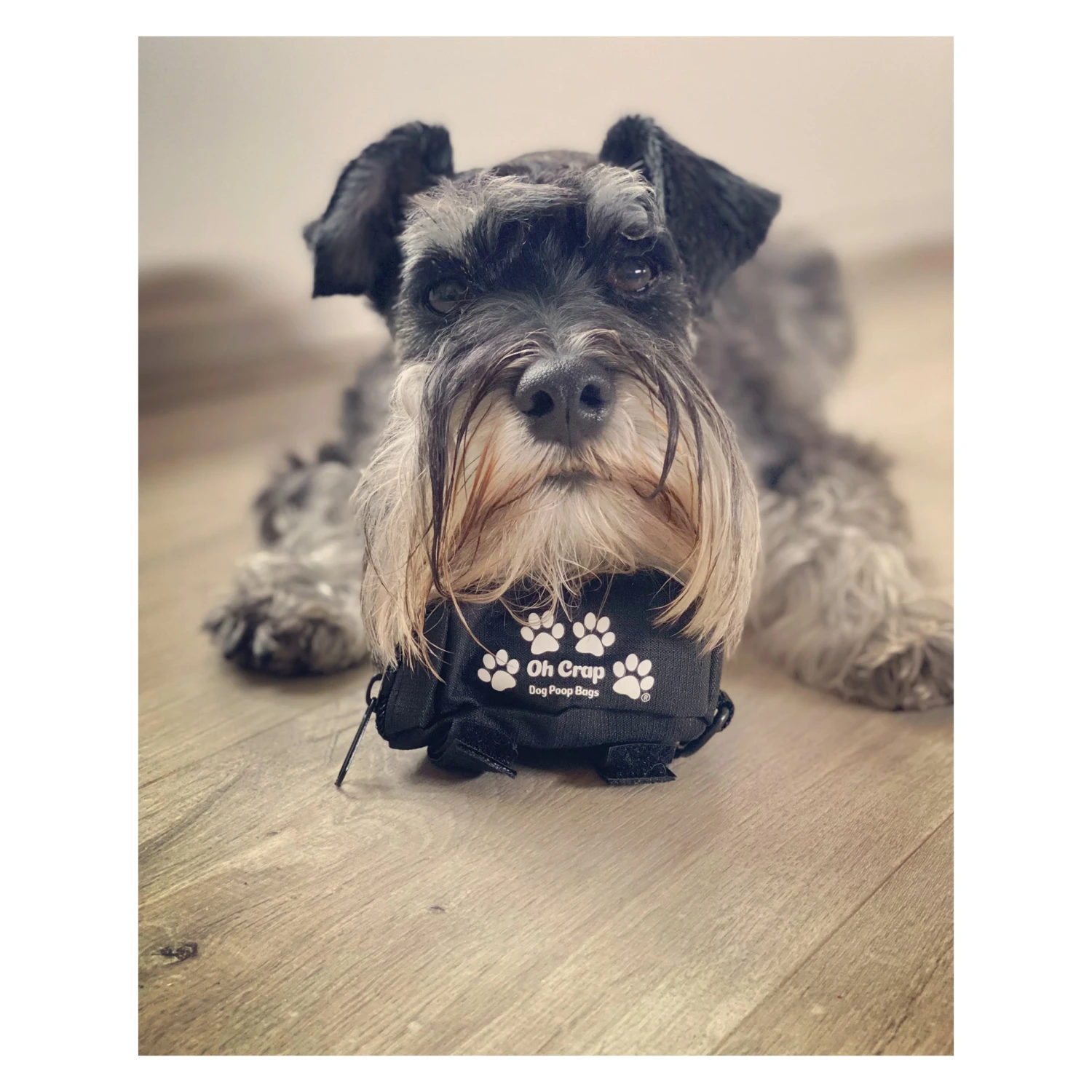 Oh Crap Dog Poop Bag Holder 3 Oh Crap Dog Poop Bag Holder - Image 3