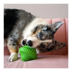 KONG Squeezz Orbitz Spin Top -Vetn Pet Direct Store orbitz spin top dog