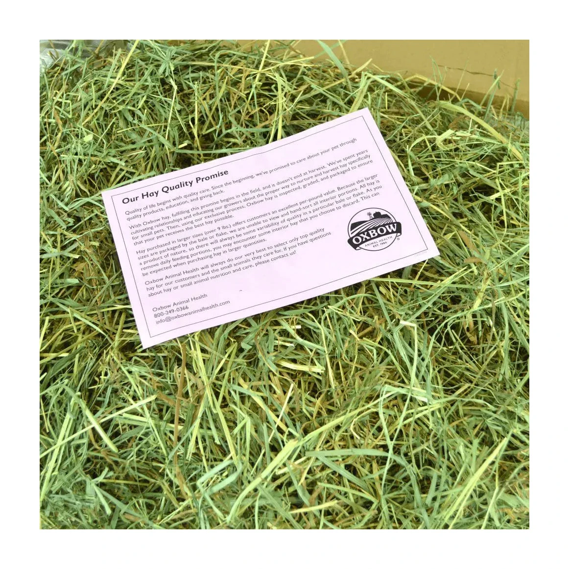 Oxbow Orchard Grass Hay 3 Oxbow Orchard Grass Hay - Image 3