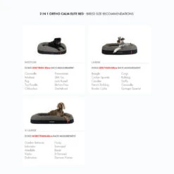 EzyDog 2 In 1 Ortho Calm Elite Dog Bed -Vetn Pet Direct Store ortho calm bed 7