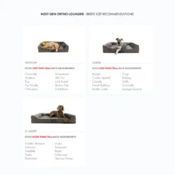 EzyDog Next Gen Ortho Lounger Dog Bed 12 EzyDog Next Gen Ortho Lounger Dog Bed -Vetn Pet Direct Store ortho lounger 4