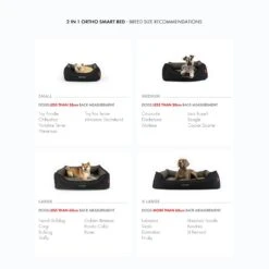 EzyDog 2 In 1 Ortho Smart Dog Bed 17 EzyDog 2 In 1 Ortho Smart Dog Bed -Vetn Pet Direct Store ortho smart bed breeds