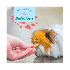 Oxbow Natural Science Joint Support 120g -Vetn Pet Direct Store ox joint support animal