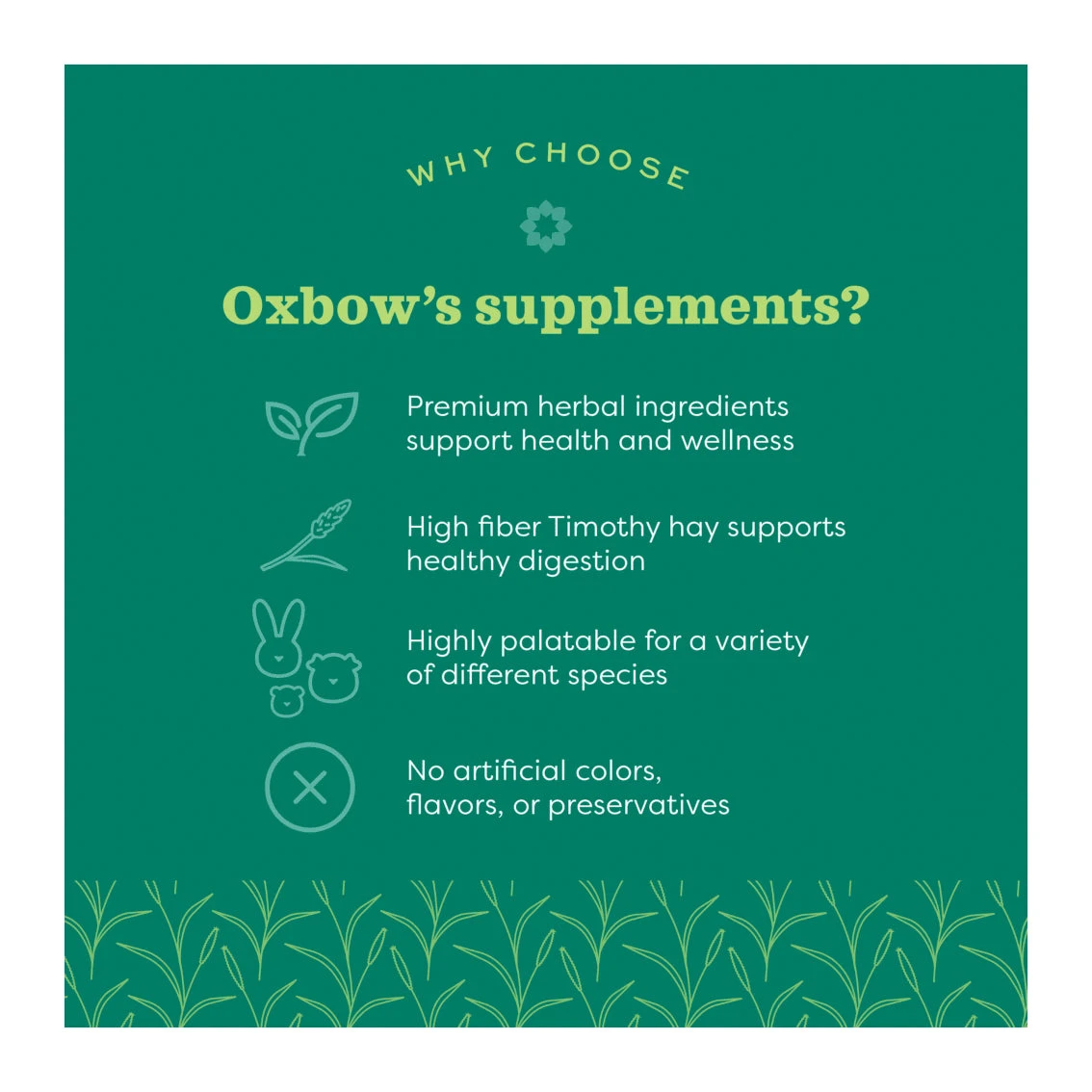 Oxbow Natural Science Skin & Coat Support 120g 5 Oxbow Natural Science Skin & Coat Support 120g - Image 5