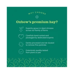 Oxbow Orchard Grass Hay 12 Oxbow Orchard Grass Hay -Vetn Pet Direct Store ox oat hay details 2452c4e8 a02f 48b5 ab07 4d507dab3d17