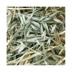 Oxbow Oat Hay 425g 8 Oxbow Oat Hay 425g -Vetn Pet Direct Store ox oat hay sample