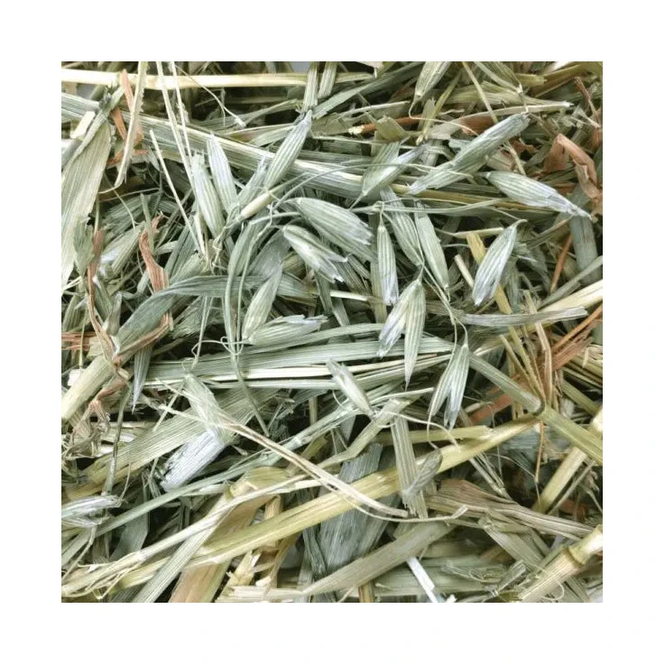 Oxbow Oat Hay 425g 4 Oxbow Oat Hay 425g - Image 4