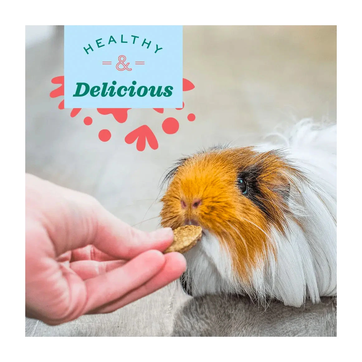 Oxbow Natural Science Skin & Coat Support 120g 3 Oxbow Natural Science Skin & Coat Support 120g - Image 3