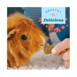 Oxbow Simple Rewards Baked Treats With Cranberry 85g 8 Oxbow Simple Rewards Baked Treats With Cranberry 85g -Vetn Pet Direct Store oxbow apple banana treats animal 0b2aca27 94ef 4c65 8de8 edc138dd23a9