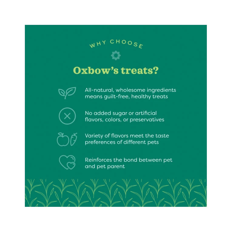 Oxbow Simple Rewards Baked Treats With Cranberry 85g 3 Oxbow Simple Rewards Baked Treats With Cranberry 85g - Image 3