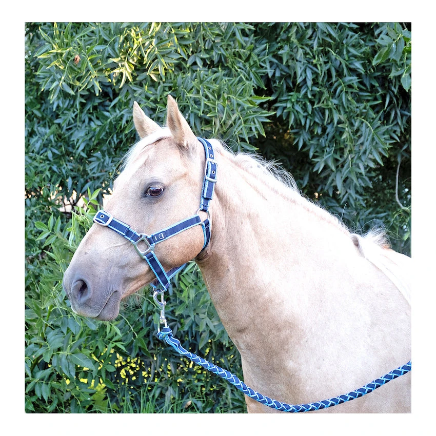 AniPal Comfort Halter & Lead Set For Horses 2 AniPal Comfort Halter & Lead Set For Horses - Image 2